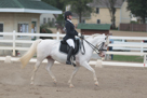 Dressage at Delaware